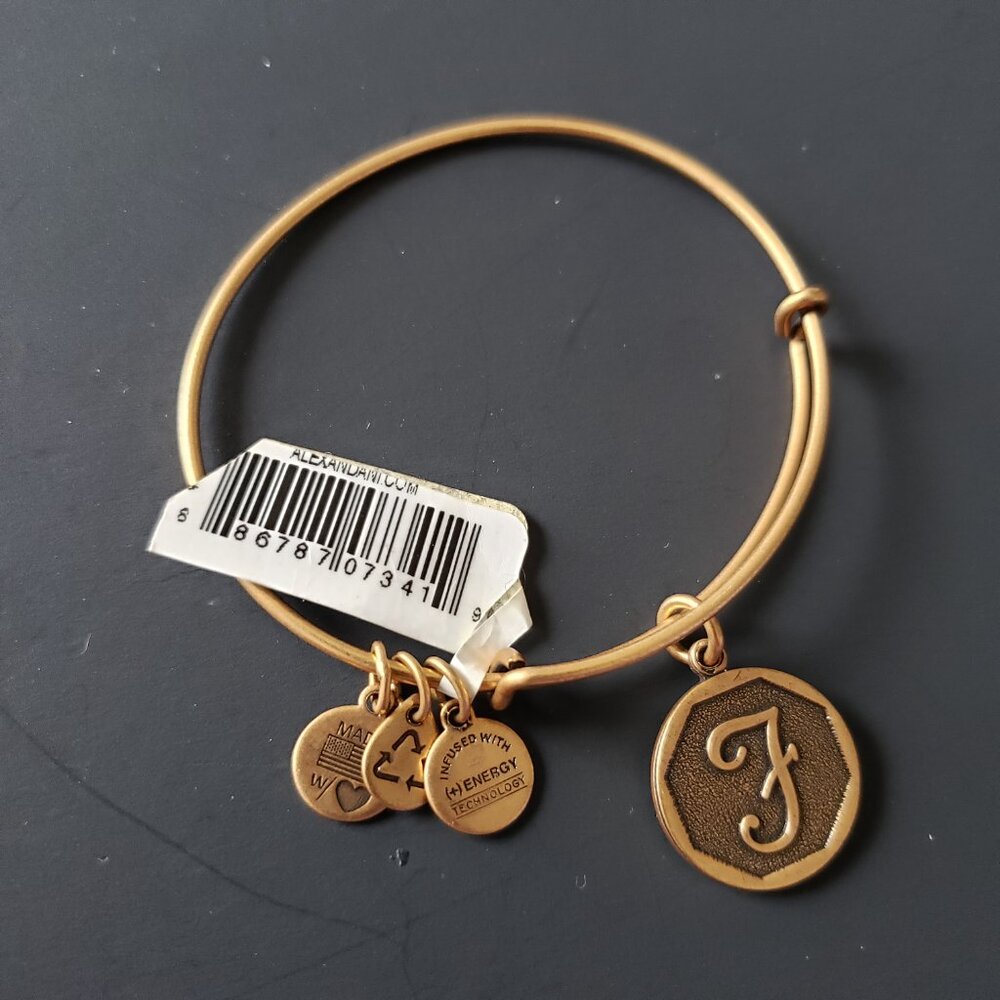 Alex and Ani F Initial Letter Gold Charm Bracelet  706